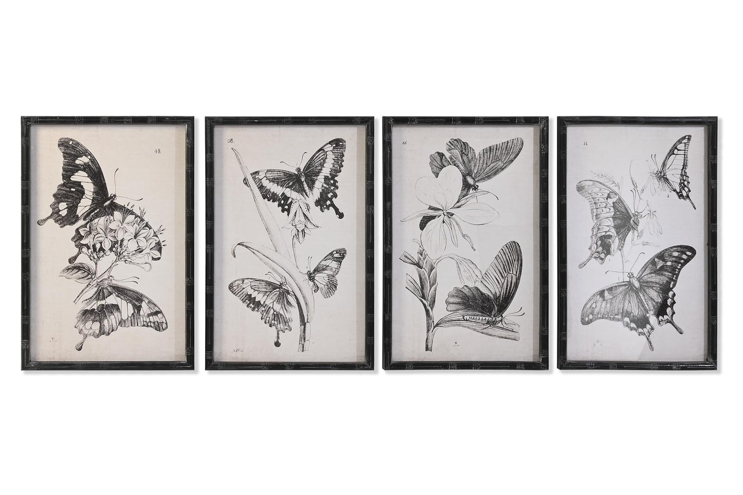 Conjunto Mariposas Bambú negro