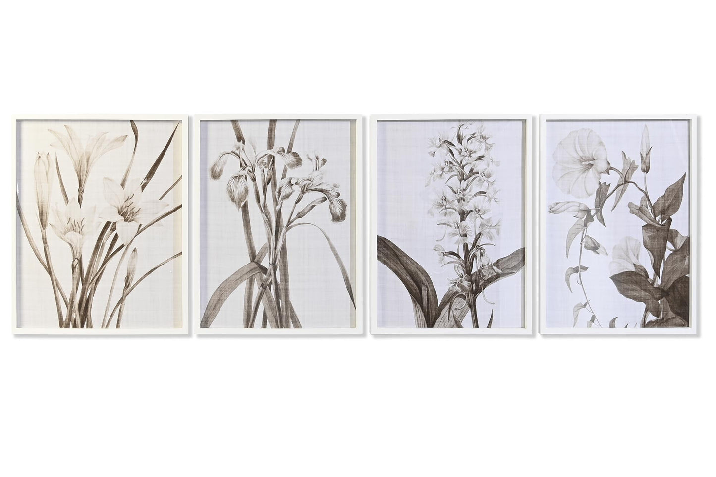 Conjunto de Cuadros Florales