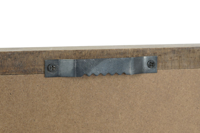 Colección Cuatro Cuadros Algas