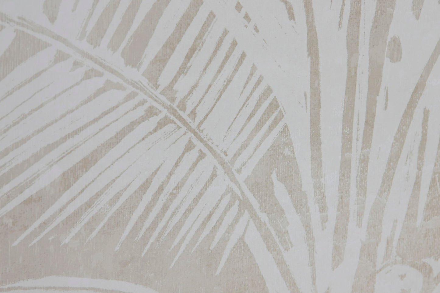 Lienzo Palmera Draw