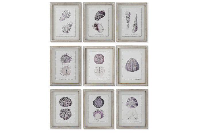 Colección Nueve Cuadros Motivos Marinos