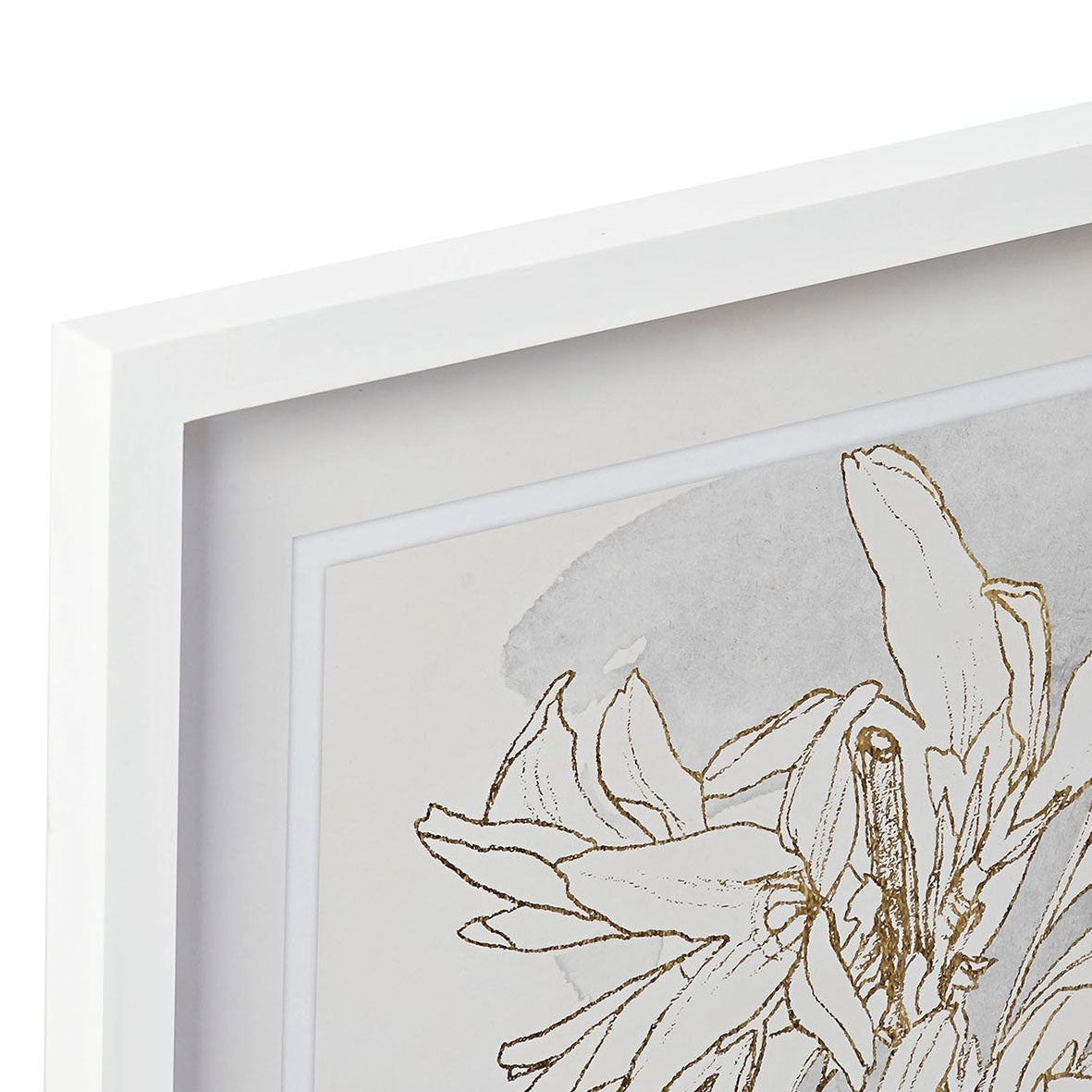 Colección Cuadros Flores Blanco
