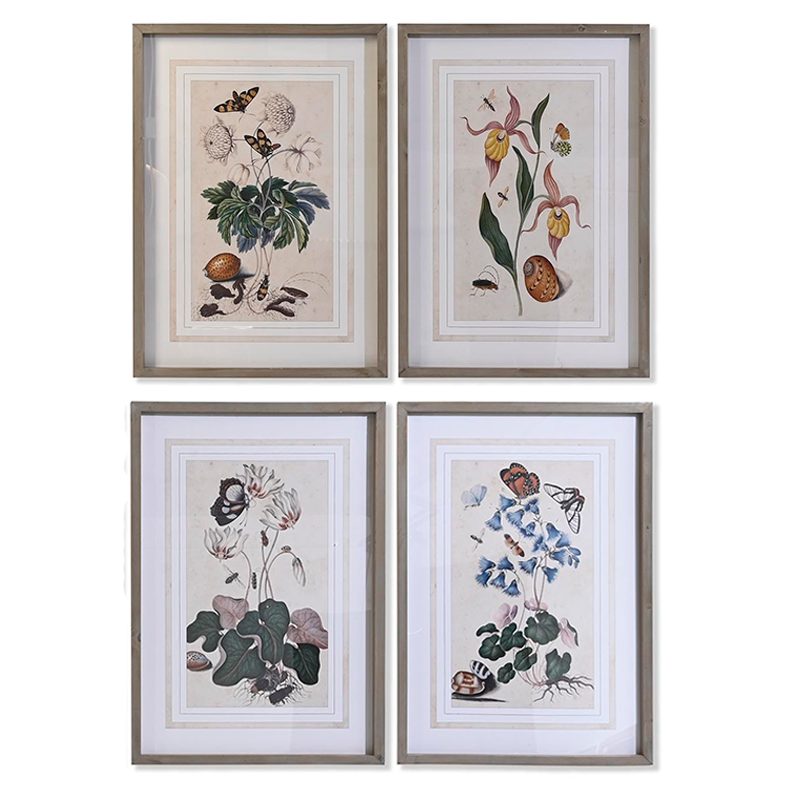 Conjunto Mariposas y flores