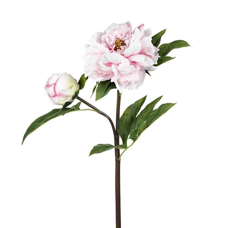 Peonia Real Touch
