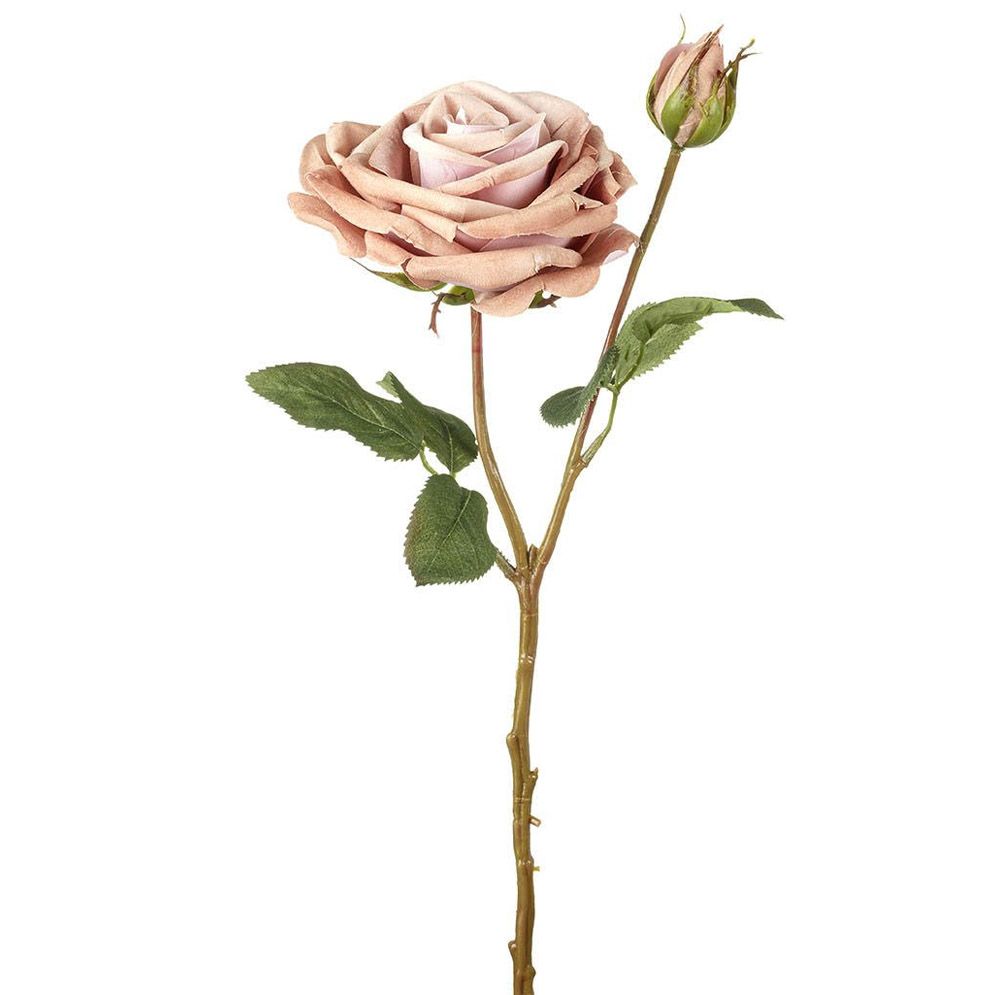 Rosa Vintage Terciopelo