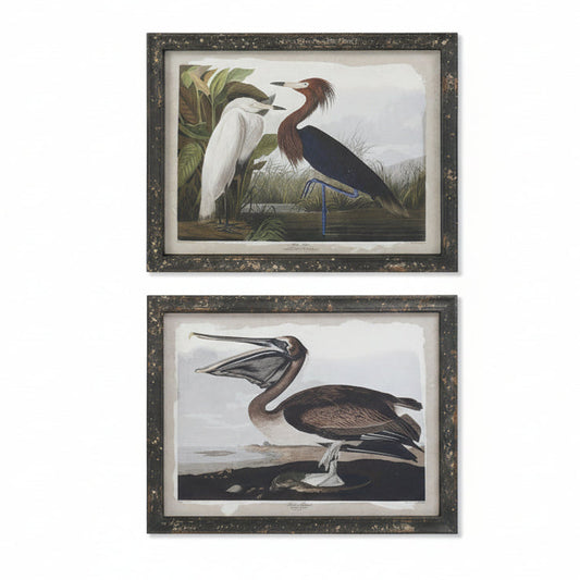 Pareja Lienzos Enmarcados Pájaros