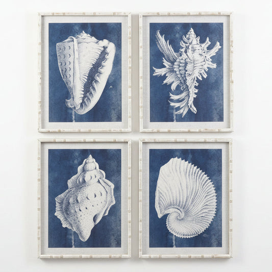 Colección Cuadros Marinos