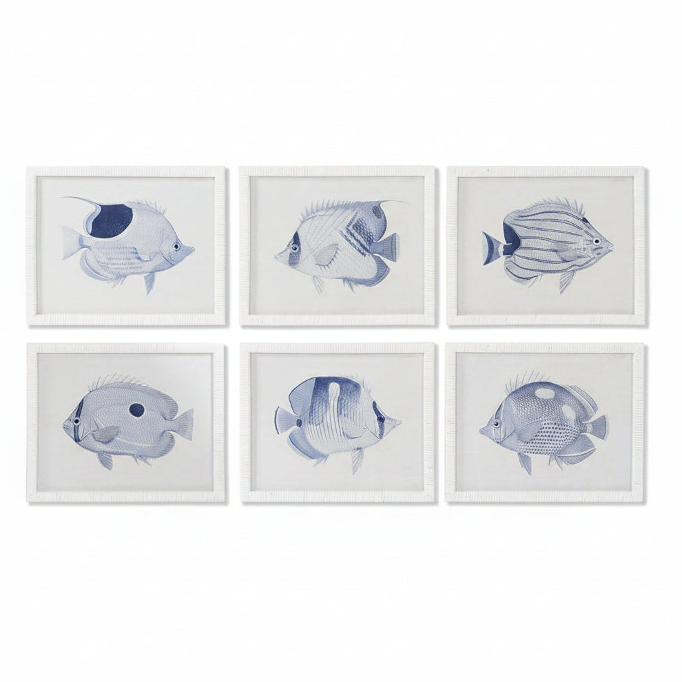 Colección Seis Cuadros Pez