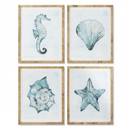 Colección Cuadros Caracolas  Azules