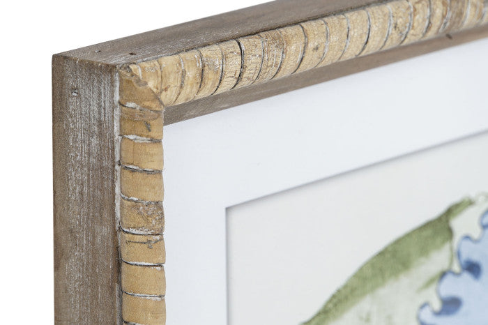 Colección Cuatro Cuadros Algas