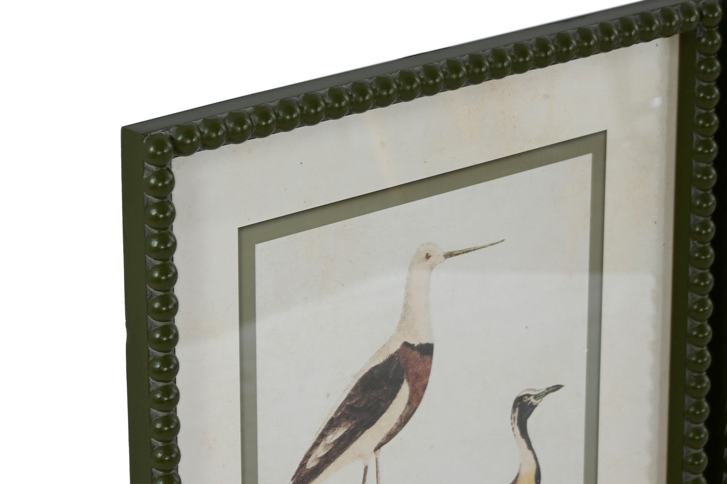 Colección Seis Cuadros Aves