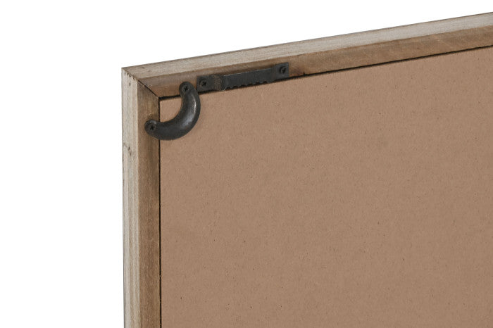 Conjunto Seis Cuadros Algas