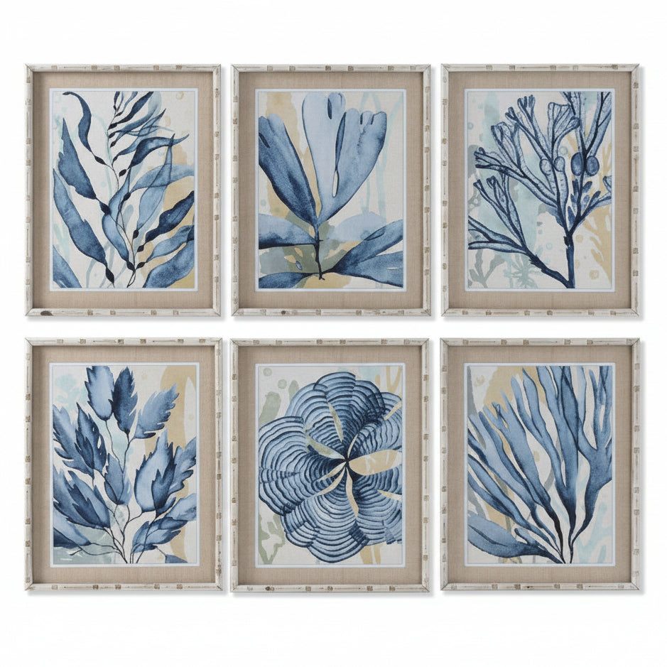 Conjunto Seis Cuadros Algas