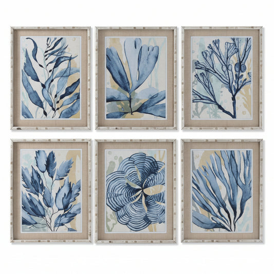 Conjunto Seis Cuadros Algas