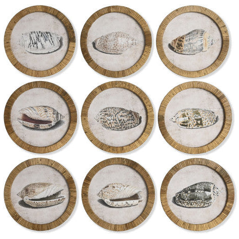 Colección Cuadros Circulares Caracolas