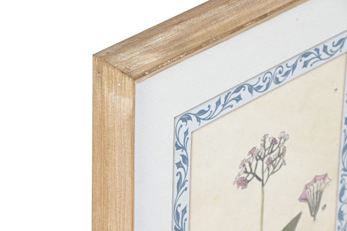 Set Cuadros Botánica