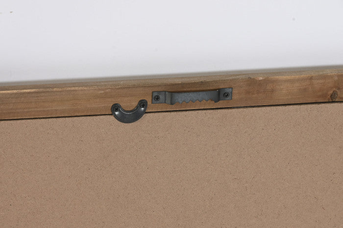 Set Cuadros Botánica