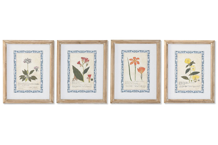 Set Cuadros Botánica