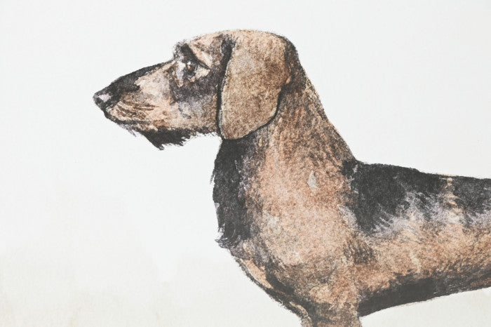 Conjunto Cuatro TECKEL