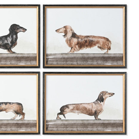 Conjunto Cuatro TECKEL