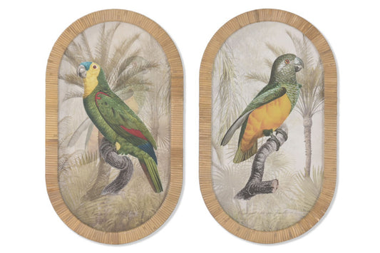 Pareja de Cuadros de Loros