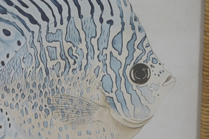 Pareja de Cuadros de Peces