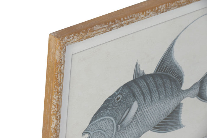 Cuadros Peces
