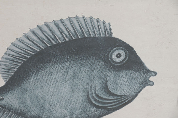 Cuadros Peces