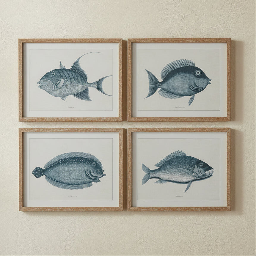 Cuadros Peces