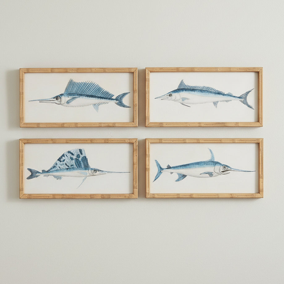 Cuadros Colección Peces Espada