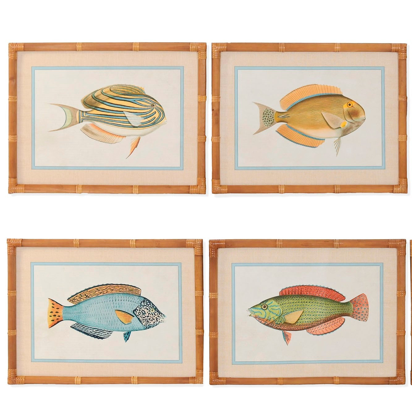 Cuadros Peces de Colores