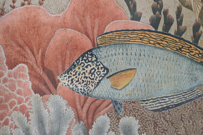 Cuadros Fondo Marino