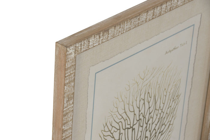 Conjunto 6 cuadros de Corales Beige