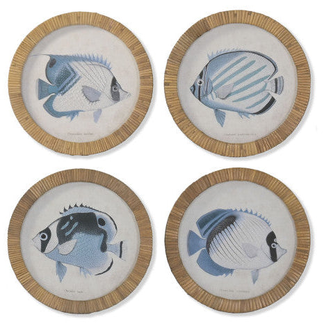 Colección Cuadros Circulares Peces.