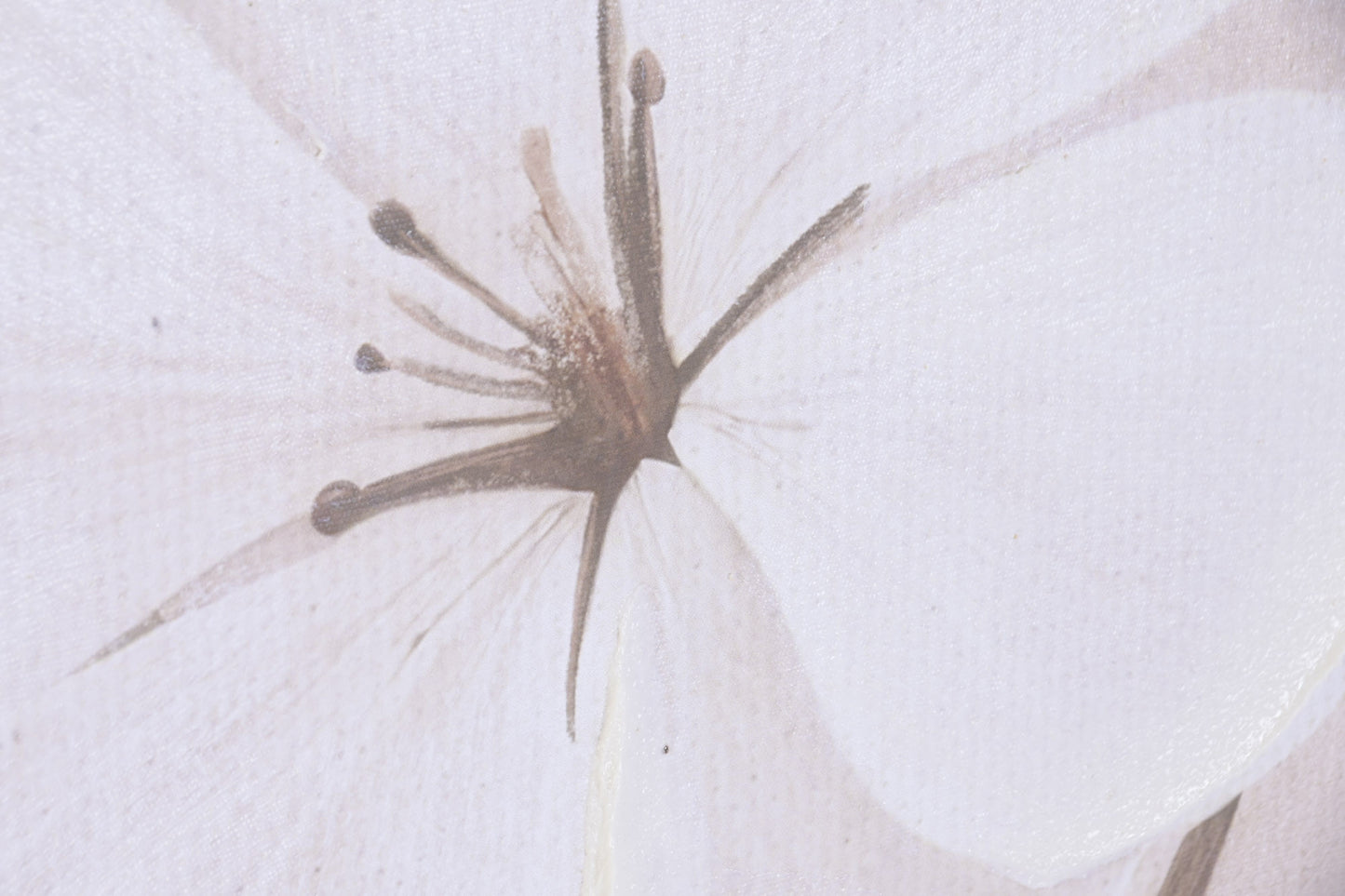 Pareja de cuadros Ivory Blossom