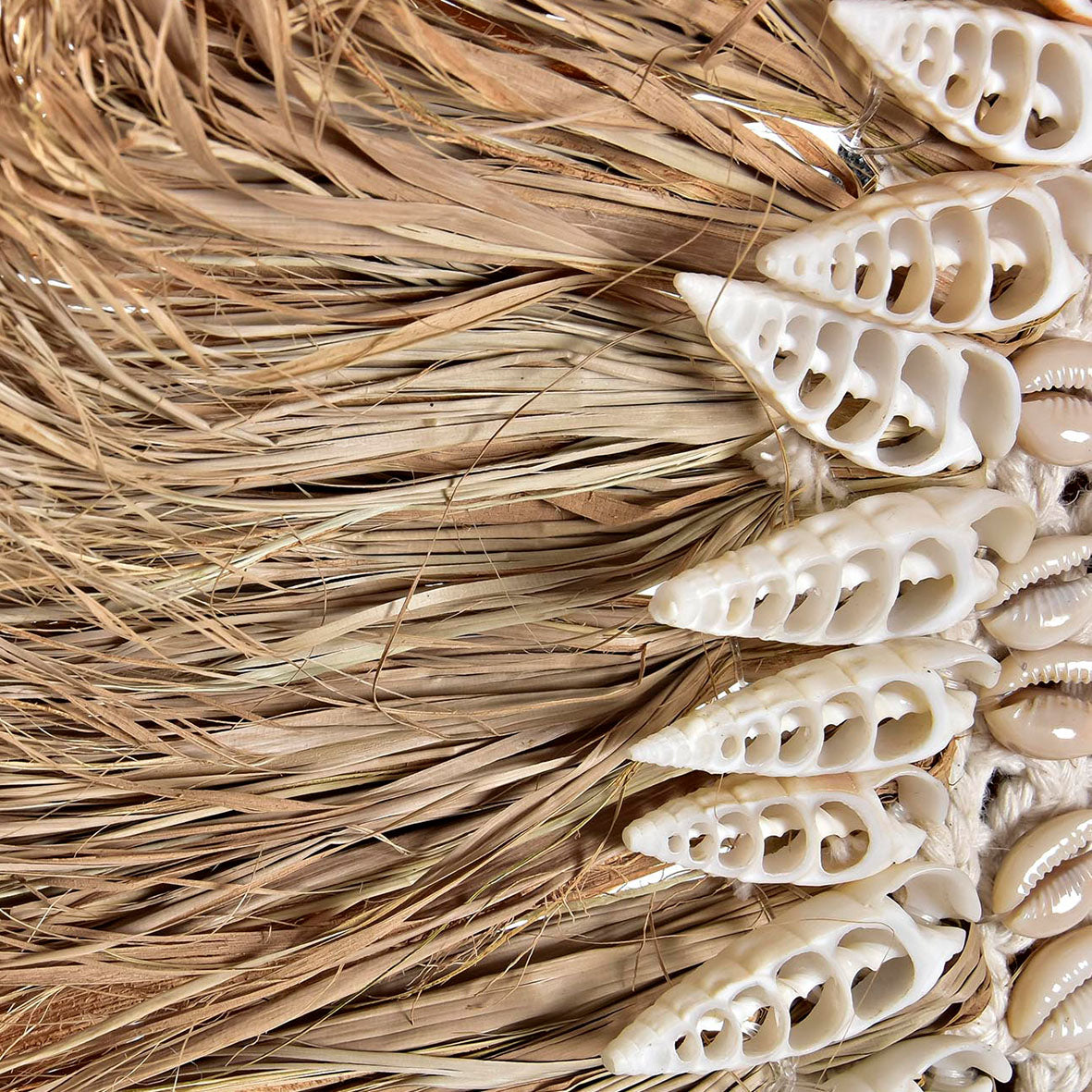 Espejo Seagrass Conchas Naturales