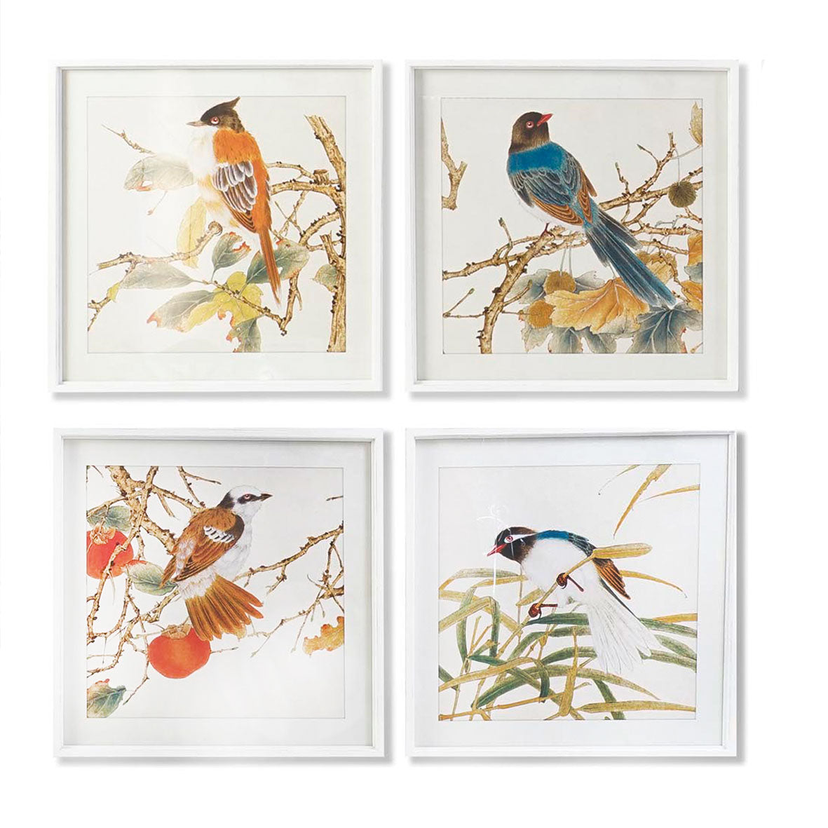 Colección Cuatro Cuadros Pájaros Ramas